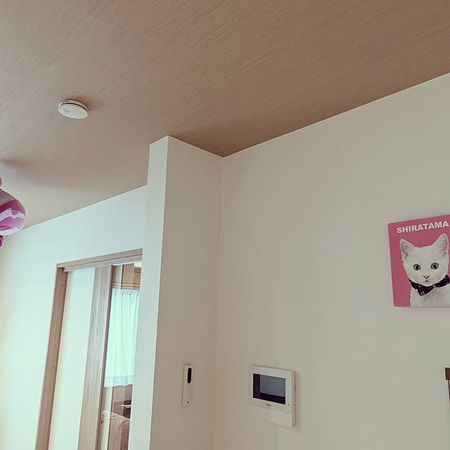 shiratamaさんの部屋