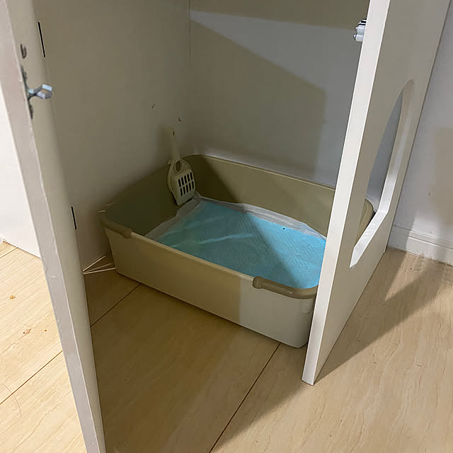 cat2525さんの部屋