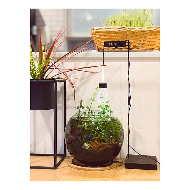 AZUさんの実例写真