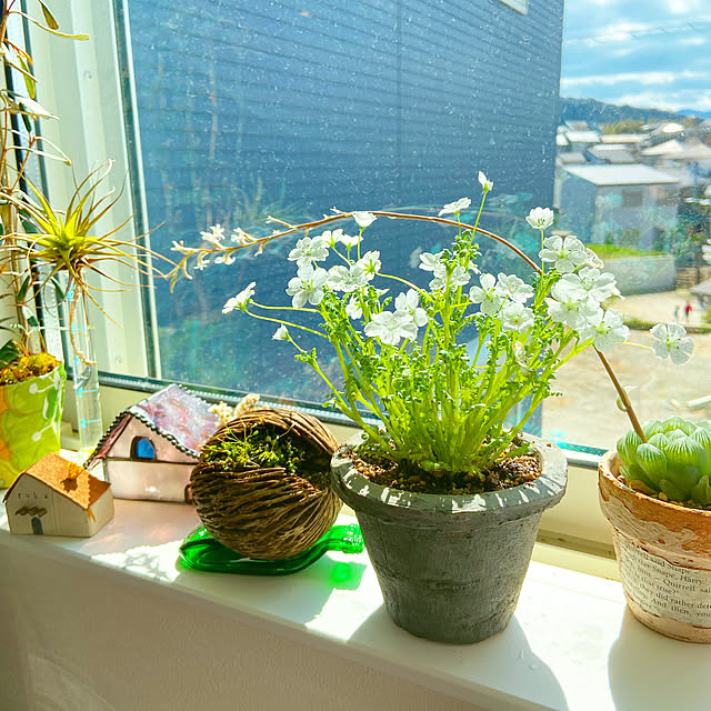 rukakoさんの実例写真