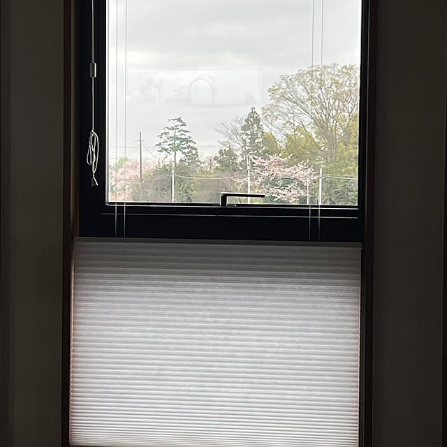 pokowheeさんの実例写真