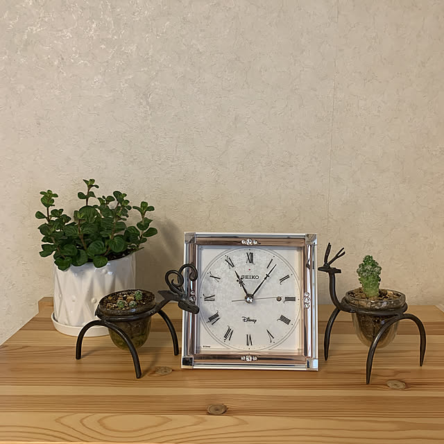 観葉植物/棚のインテリア実例 - 2021-03-13 11:06:36