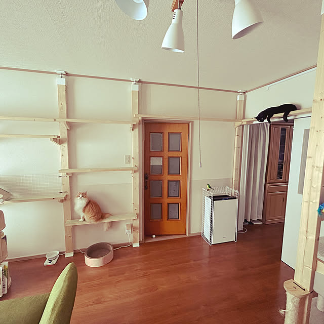 junさんの実例写真