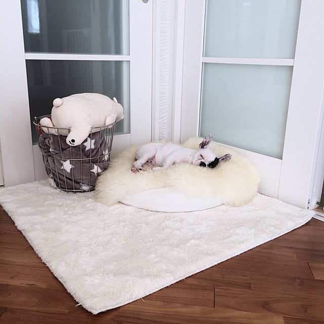 Mさんの実例写真