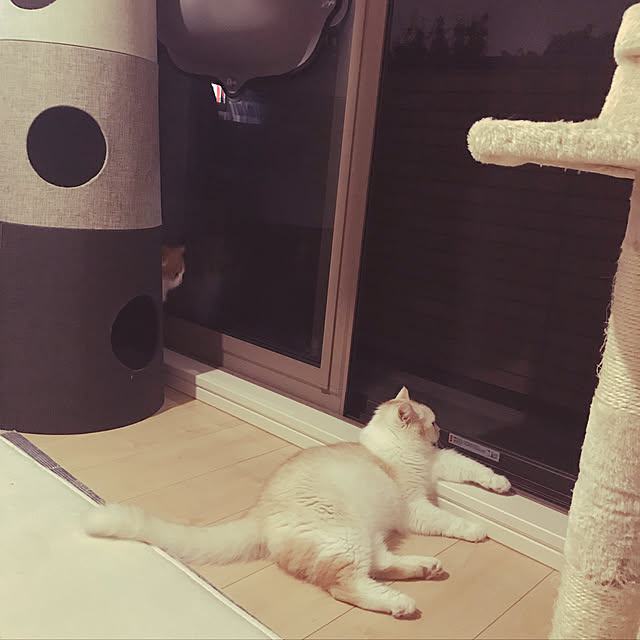 H.Tさんの実例写真