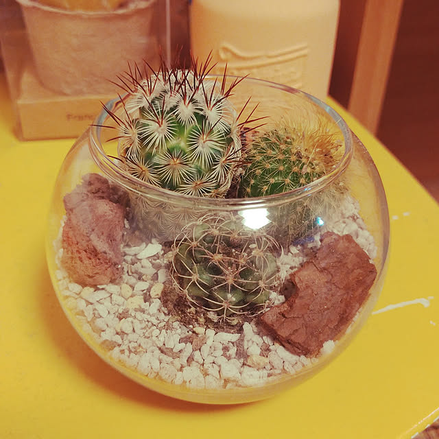 Eriさんの実例写真