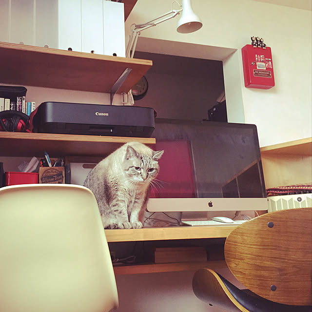 bamboobooCatDogさんの実例写真