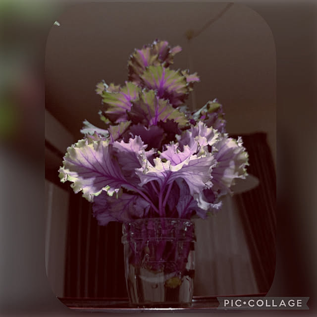 yukarin-gardenさんの実例写真