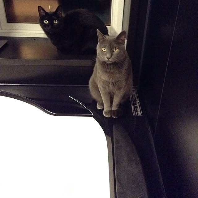 lilasさんの実例写真