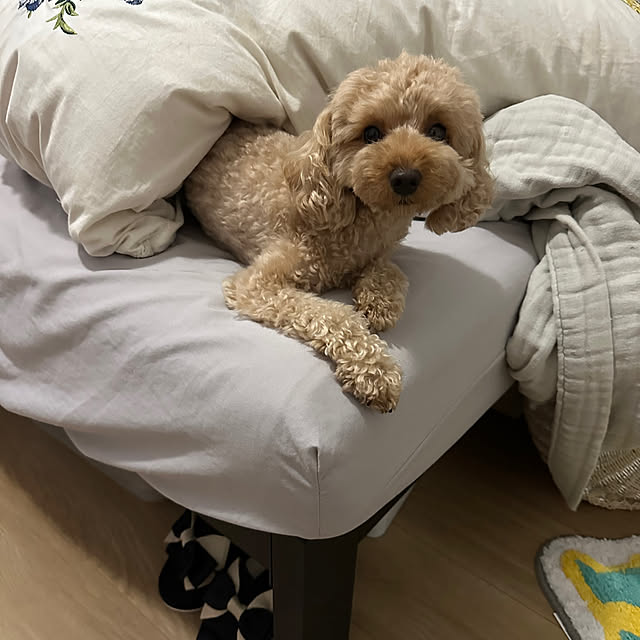 kiyoさんの部屋