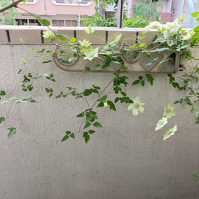 akhrn5さんの実例写真