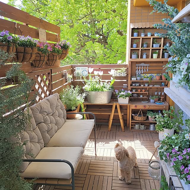 masumixさんの部屋