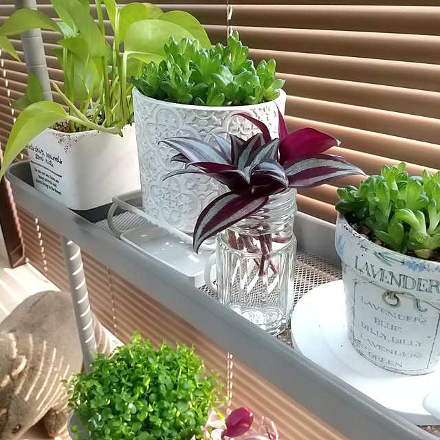 meiさんの部屋