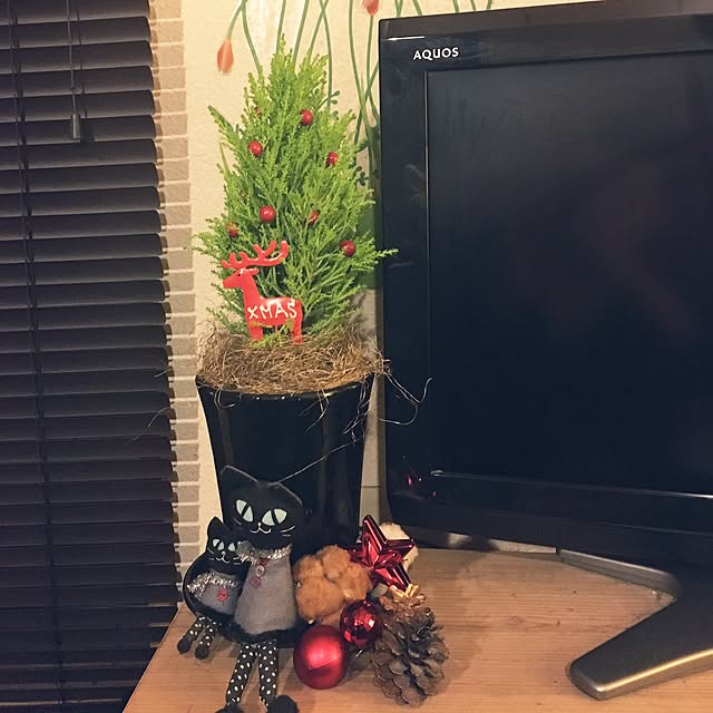 rituさんの実例写真