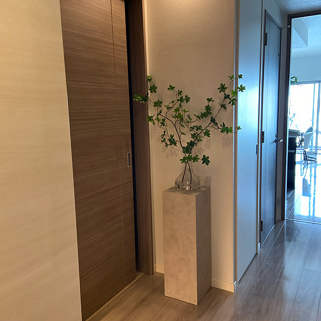 玄関/入り口/観葉植物/シンプルのインテリア実例 - 2024-11-13 14:38:21