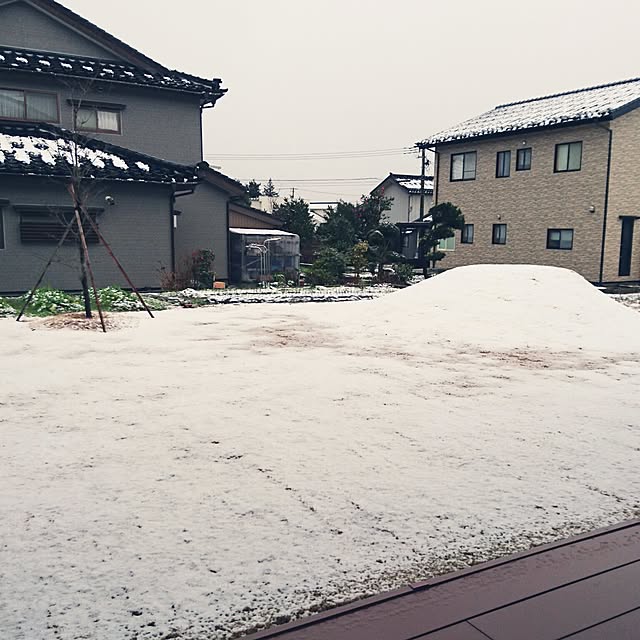 s_h_yさんの実例写真