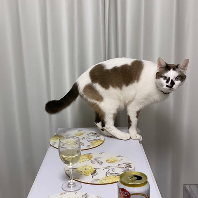 michaco1007さんの実例写真