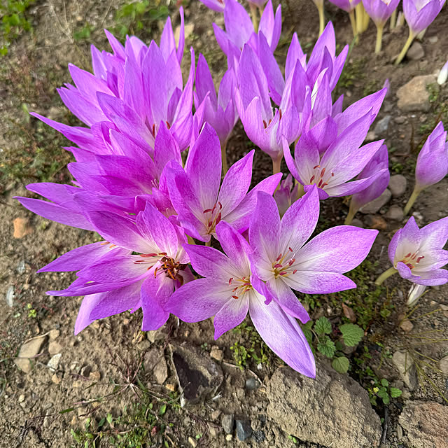 bm.aoiさんの実例写真