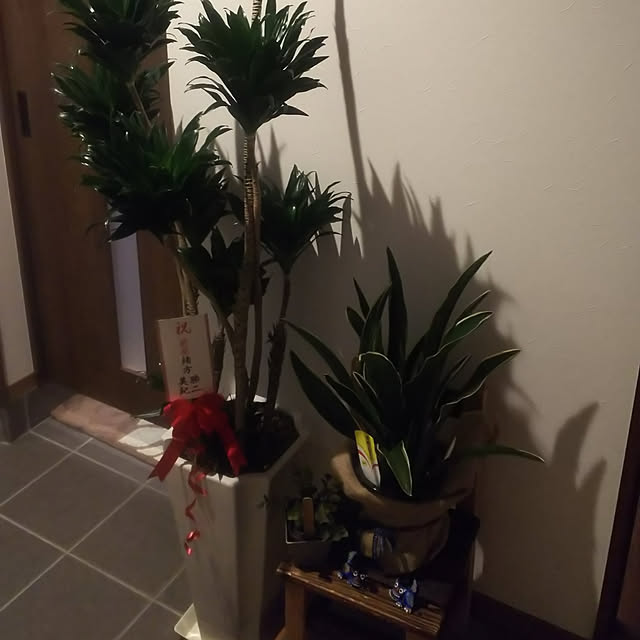 patimama0216さんの実例写真