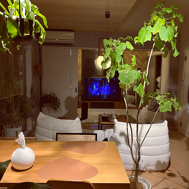 tsunさんの実例写真