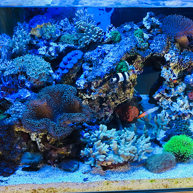 o.kanさんの部屋