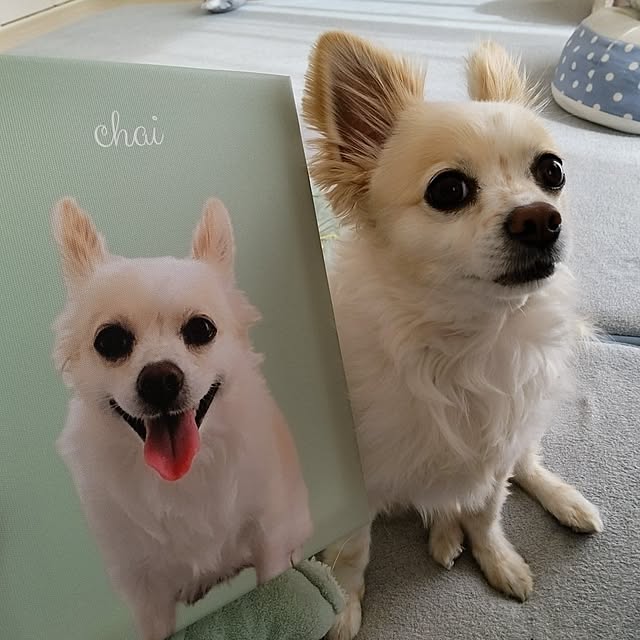 PAOさんの部屋