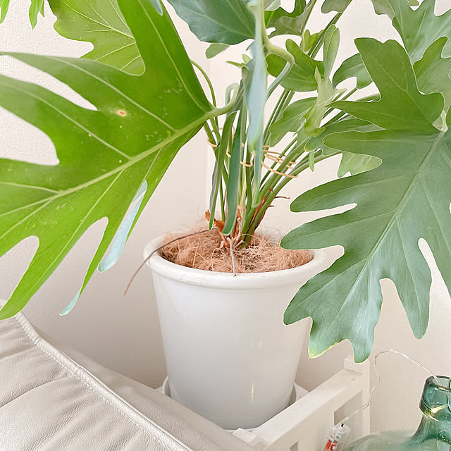 akiko-ovさんの部屋