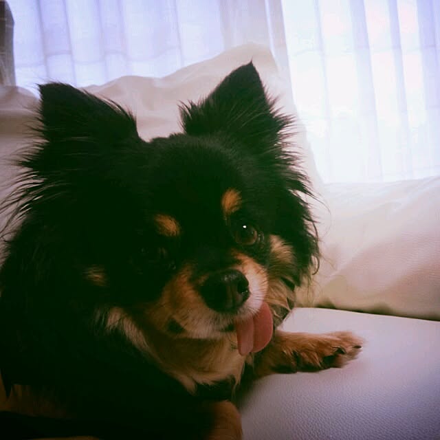 asa.haruaoさんの実例写真