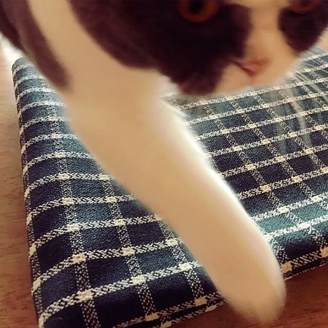 KITONOさんの実例写真