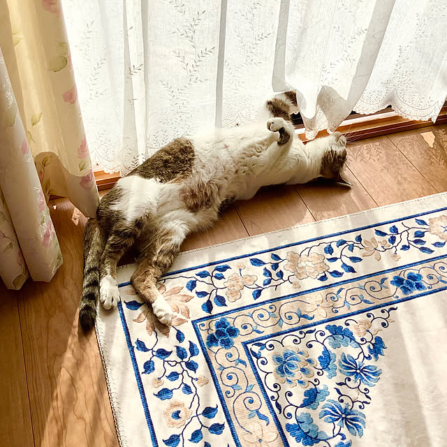 haruminさんの部屋