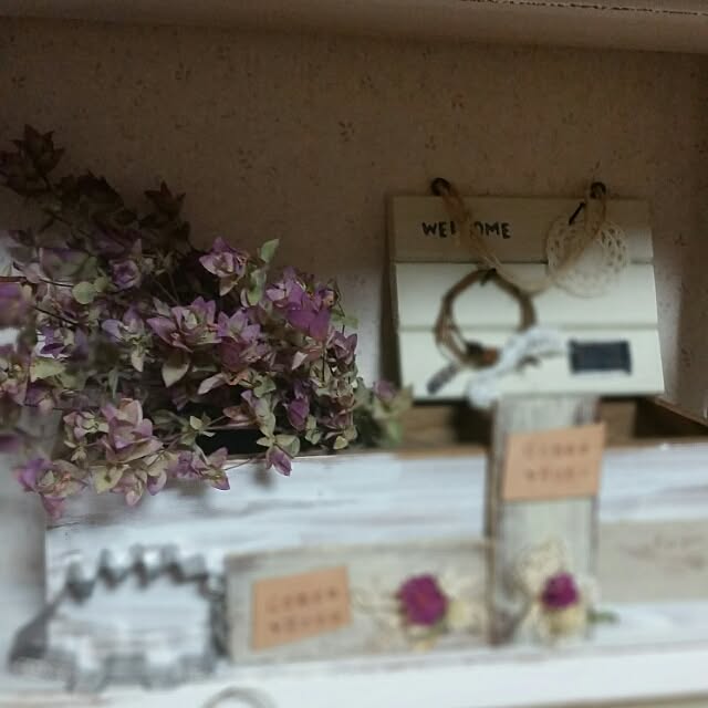 hitomiさんの実例写真