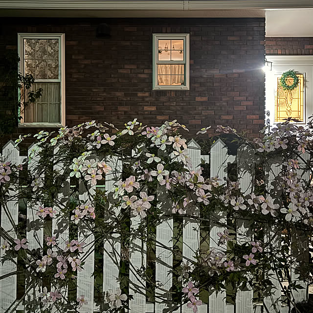 usagiさんの部屋