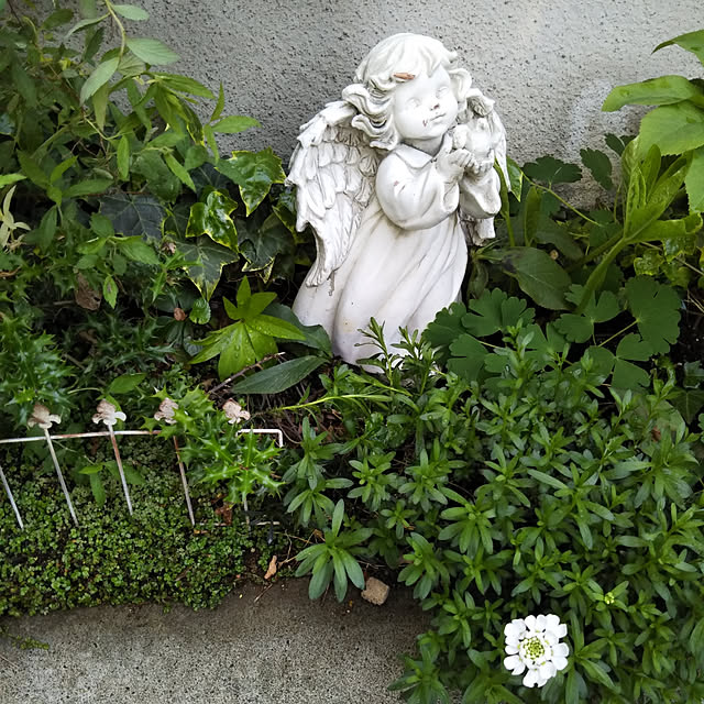 yukkoさんの実例写真