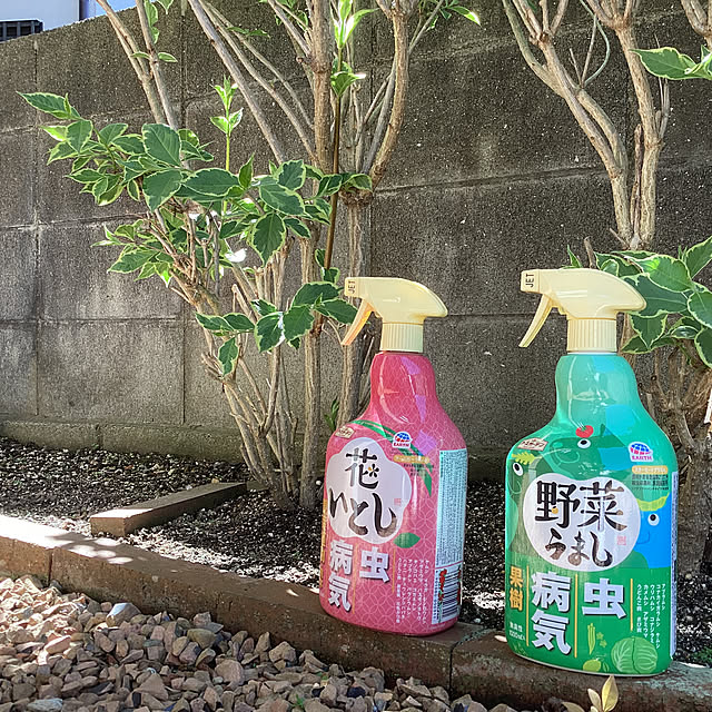 richanさんの実例写真