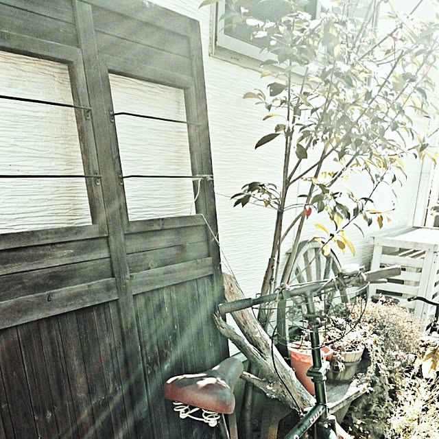 38さんの実例写真