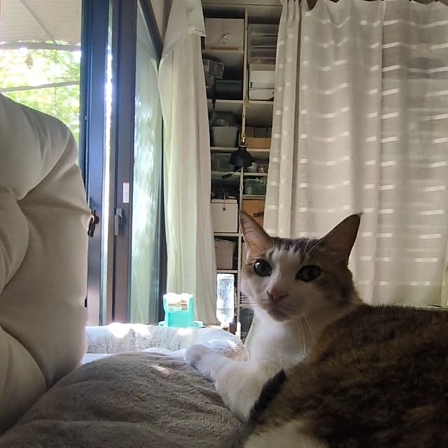 mori_6_12さんの実例写真