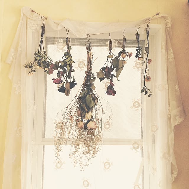 france_rose_laceさんの実例写真