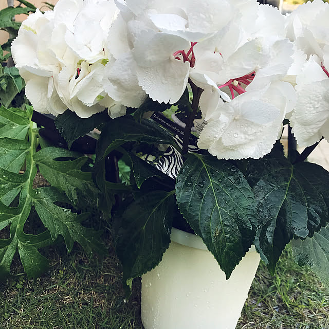 yecさんの実例写真