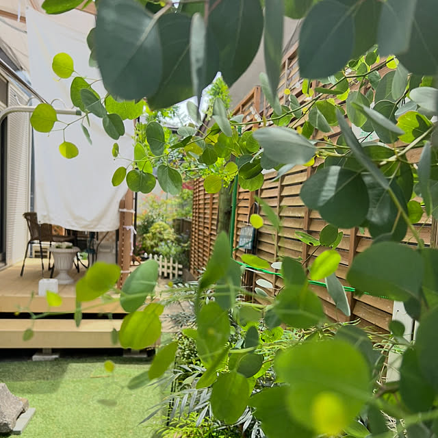 yukarimamaさんの部屋