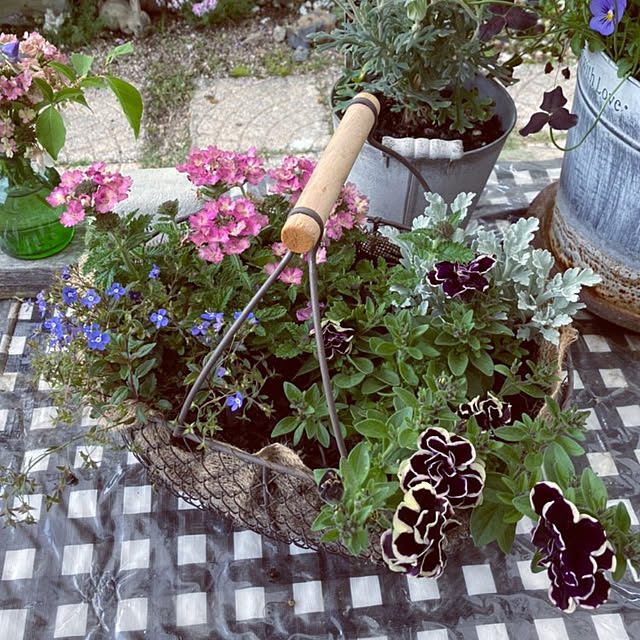 min_nimさんの実例写真