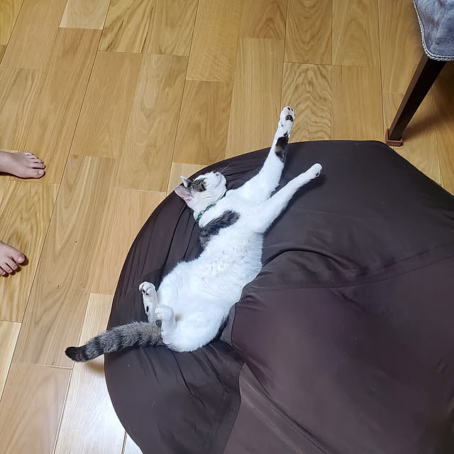 tomatopapaさんの実例写真