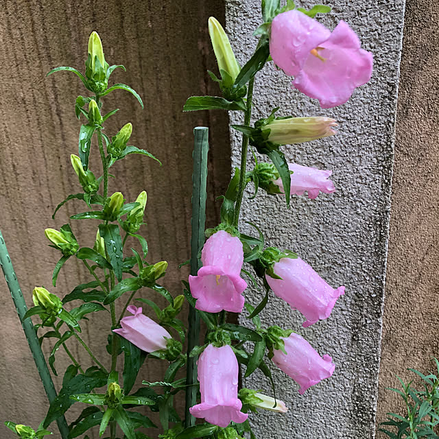 fumikoiさんの部屋