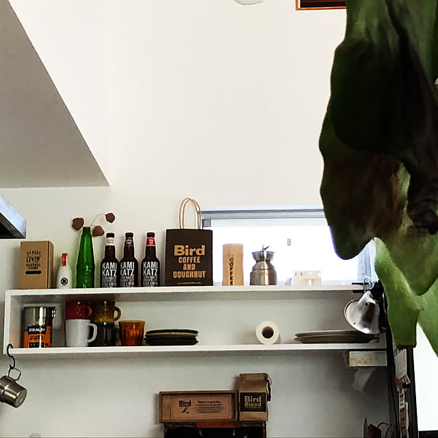 棚/男前/雑貨/観葉植物のインテリア実例 - 2018-05-04 14:11:11