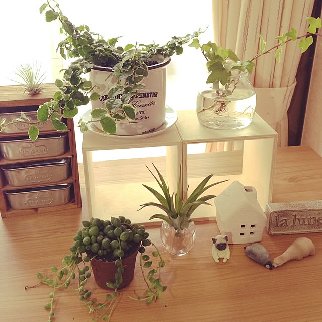achuminさんの実例写真