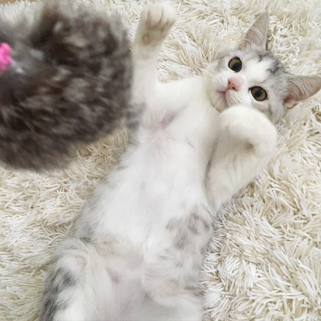 sachie.さんの実例写真