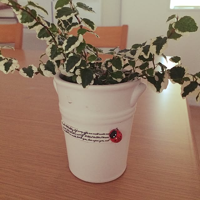 simpleさんの実例写真