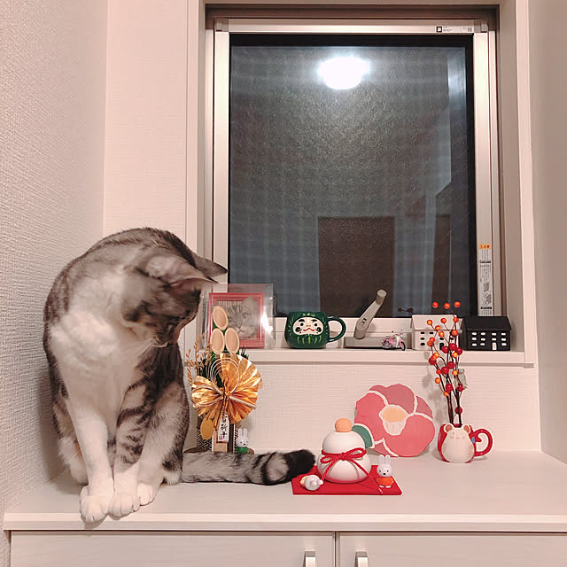 muuさんの実例写真