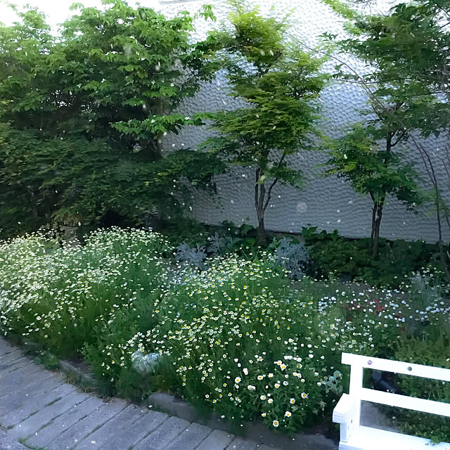 marrymisuzuさんの実例写真