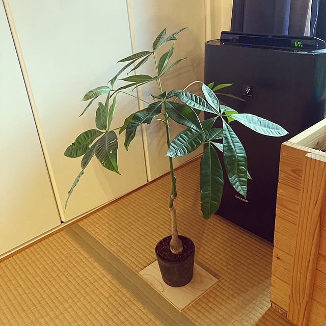 Grab_itさんの部屋