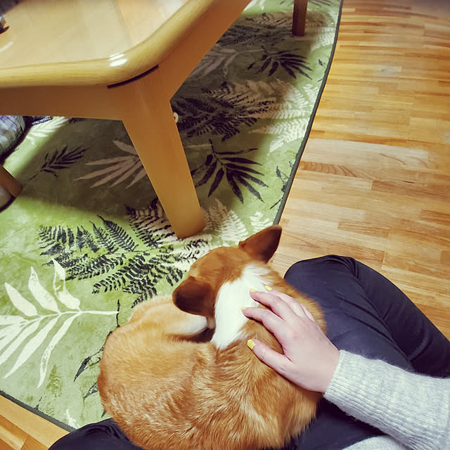 akimameさんの実例写真